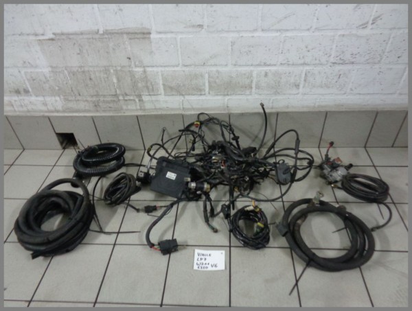 Vialle LP7 Gasanlage 6 Zylinder Flüssiggasanlage für Mercedes M112 M272 LPG Gas
