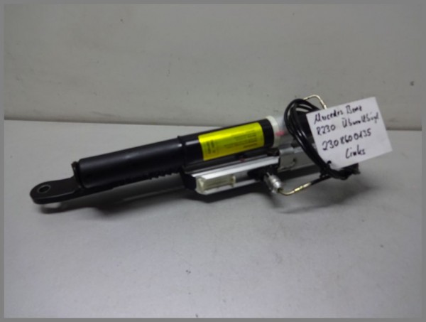 Mercedes Benz R230 SL 2308600135 Überrollbügel Hydraulik Zylinder Dämpfer Links