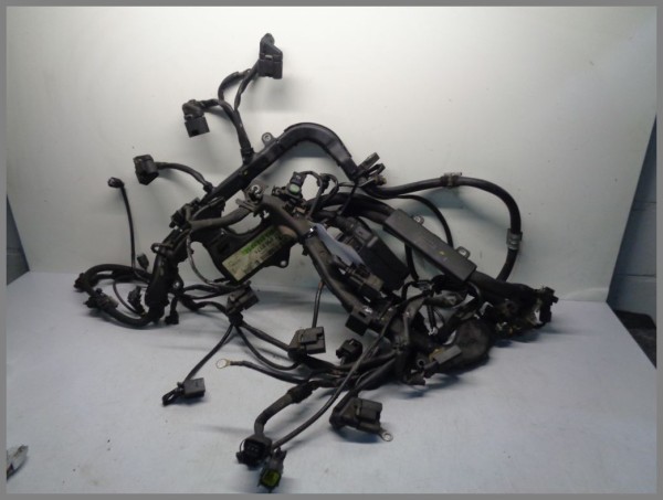 Mercedes Benz M272 V6 engine wiring harness 2721501533 Original