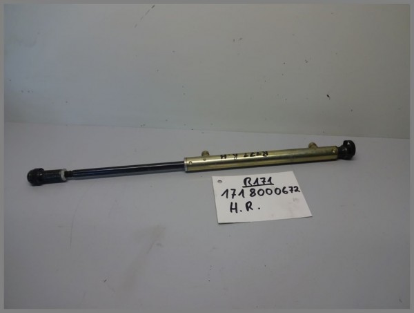 Mercedes Benz R171 SLK Dach Verdeck Hydraulik Zylinder Dämpfer 1718000672 Rechts