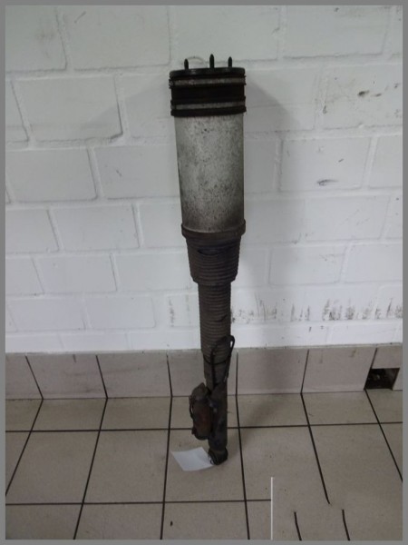 Mercedes Benz W220 Shock Absorber Airmatik Rear Shock Absorber 2203205013