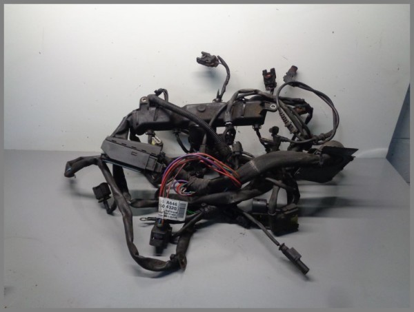 Mercedes W204 220 CDI OM646 Motorkabelbaum Kabelsatz 6461504320 Delphi 646811