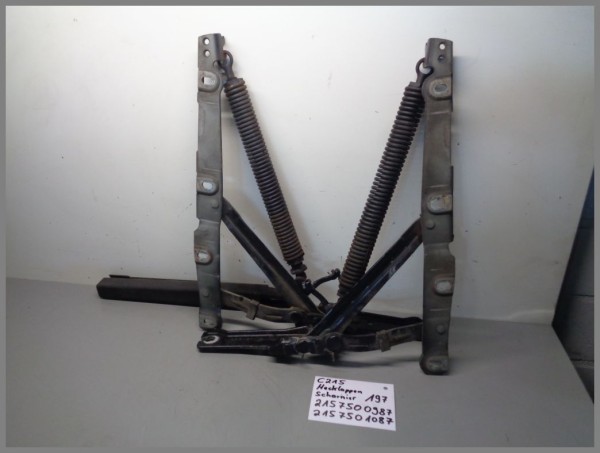 Mercedes W215 Heckklappenscharniere Hinten SET 2157500987 2157501087 197 Schwarz