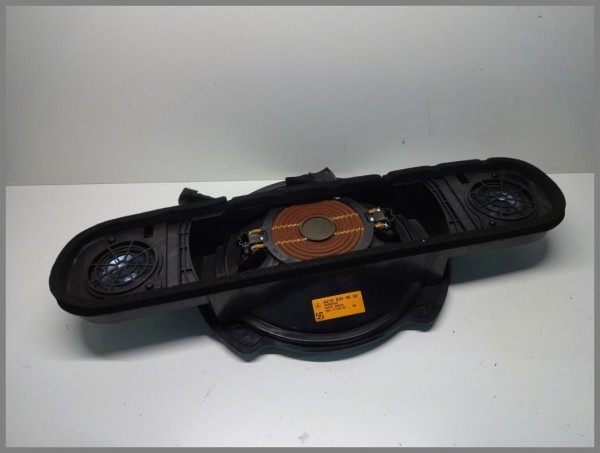 Mercedes W219 CLS W211 Subwoofer Box Lautsprecher Logic 7 2198200602 Original