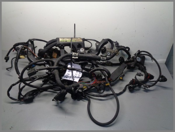 Mercedes W219 CLS350 V6 CGI Motorkabelbaum Kabelbaum 2720105400 Leitungssatz Orig.